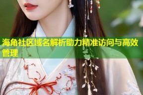 海角社区域名解析助力精准访问与高效管理