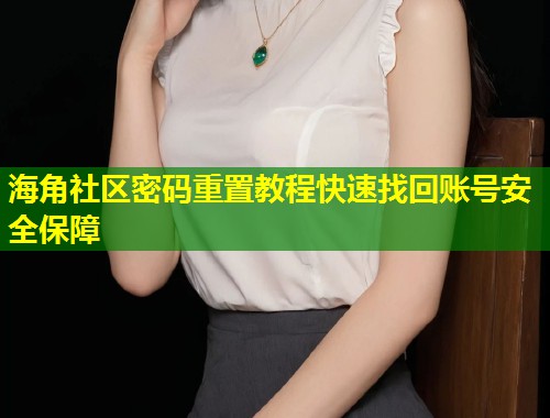 海角社区密码重置教程快速找回账号安全保障  第2张