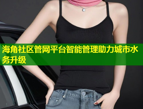 海角社区管网平台智能管理助力城市水务升级  第1张