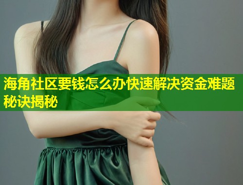 海角社区要钱怎么办快速解决资金难题秘诀揭秘  第1张