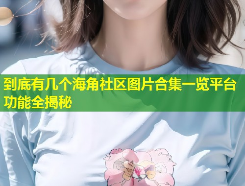 到底有几个海角社区图片合集一览平台功能全揭秘  第1张