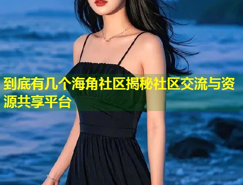 到底有几个海角社区揭秘社区交流与资源共享平台  第1张