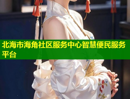 北海市海角社区服务中心智慧便民服务平台  第1张