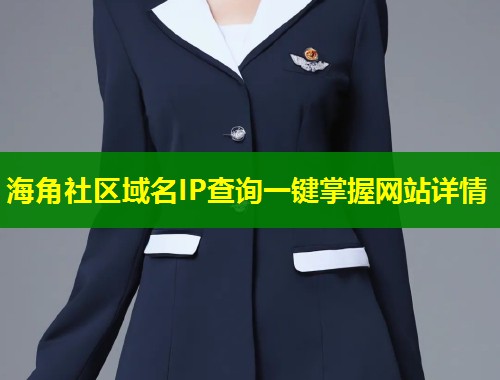 海角社区域名IP查询一键掌握网站详情  第1张