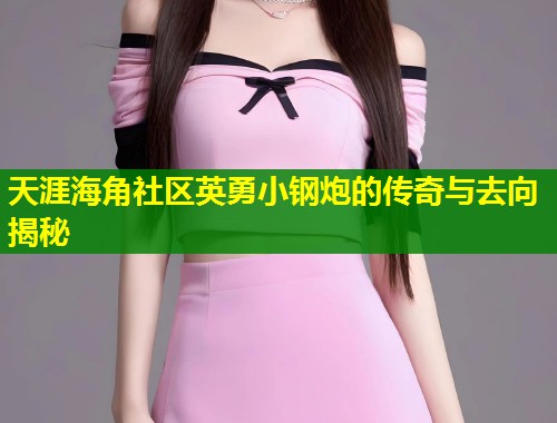 天涯海角社区英勇小钢炮的传奇与去向揭秘  第1张