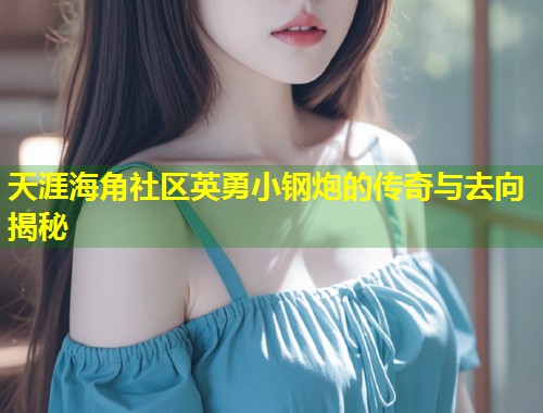 天涯海角社区英勇小钢炮的传奇与去向揭秘  第2张
