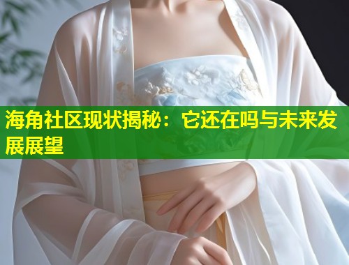 海角社区现状揭秘：它还在吗与未来发展展望  第1张