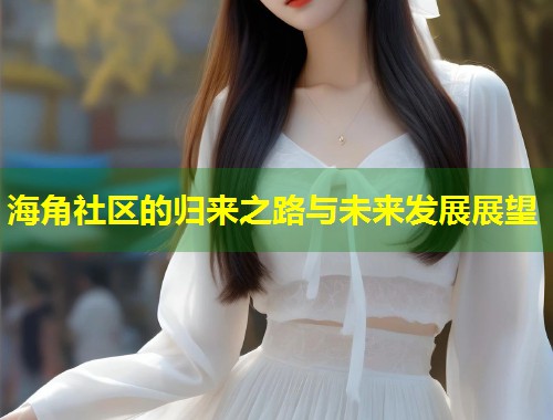 海角社区的归来之路与未来发展展望  第1张