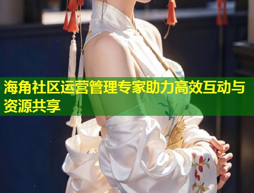 海角社区运营管理专家助力高效互动与资源共享  第1张