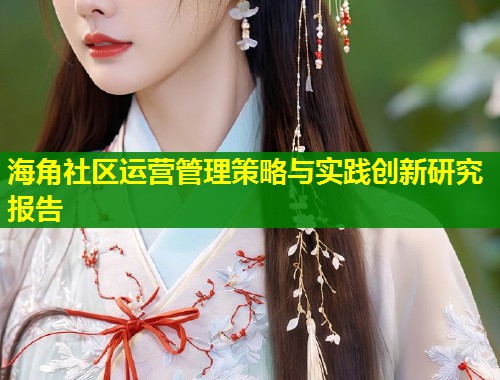 海角社区运营管理策略与实践创新研究报告  第1张