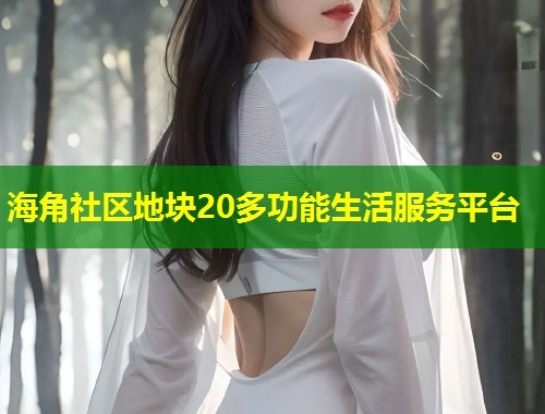 海角社区地块20多功能生活服务平台  第1张