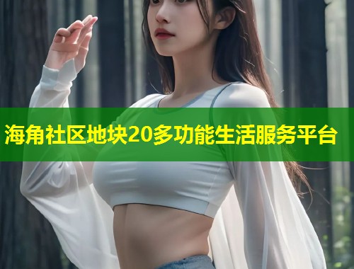 海角社区地块20多功能生活服务平台  第2张